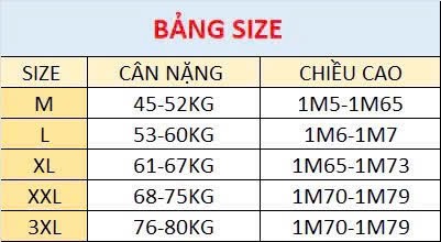 Áo sơ mi gắn tay kẻ than trắng